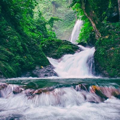 全民大主公官方
